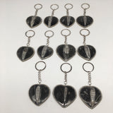 1pc, 4.25"-4.5", 26g-40g, Black Orthoceras Fossil Heart Keychain @Morocco,FP08 - watangem.com