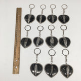 1pc, 4.25"-4.5", 26g-40g, Black Orthoceras Fossil Heart Keychain @Morocco,FP08 - watangem.com