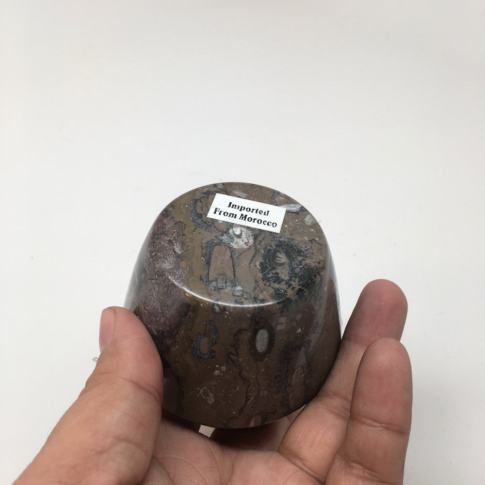 236g, 2.6"x2.7" Small Round Fossils Ammonite Brown Jewelry Box @Morocco,MF844 - watangem.com