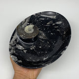 916g, 8.75"x6.5" Black Fossils Ammonite Orthoceras Bowl Oval Ring @Morocco,B8386