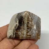 60.7g, 1.2"x1.7"x1.6" Chocolate/Gray Onyx Pyramid Gemstone @Morocco, B18975