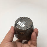 254g, 2.6"x2.7" Small Round Fossils Ammonite Brown Jewelry Box @Morocco,MF849 - watangem.com