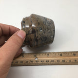 254g, 2.6"x2.7" Small Round Fossils Ammonite Brown Jewelry Box @Morocco,MF849 - watangem.com