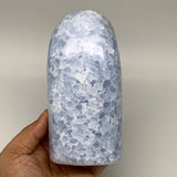 1120g,5.5"x2.7"x2.4" Blue Calcite Polished Freeform Stands @Madagascar,B6422