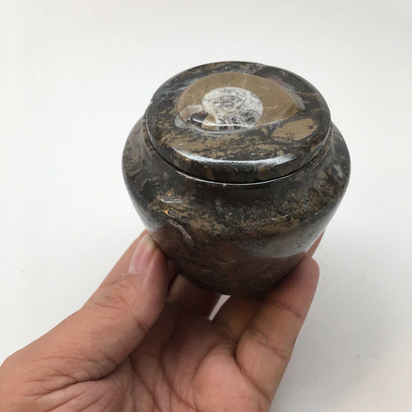 280g, 2.6"x2.7" Small Round Fossils Ammonite Brown Jewelry Box @Morocco,MF854 - watangem.com