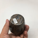 280g, 2.6"x2.7" Small Round Fossils Ammonite Brown Jewelry Box @Morocco,MF854 - watangem.com