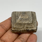 47.8g, 1"x1.6"x1.6" Chocolate/Gray Onyx Pyramid Gemstone @Morocco, B18980