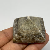 49.2g, 1"x1.6"x1.6" Chocolate/Gray Onyx Pyramid Gemstone @Morocco, B18983