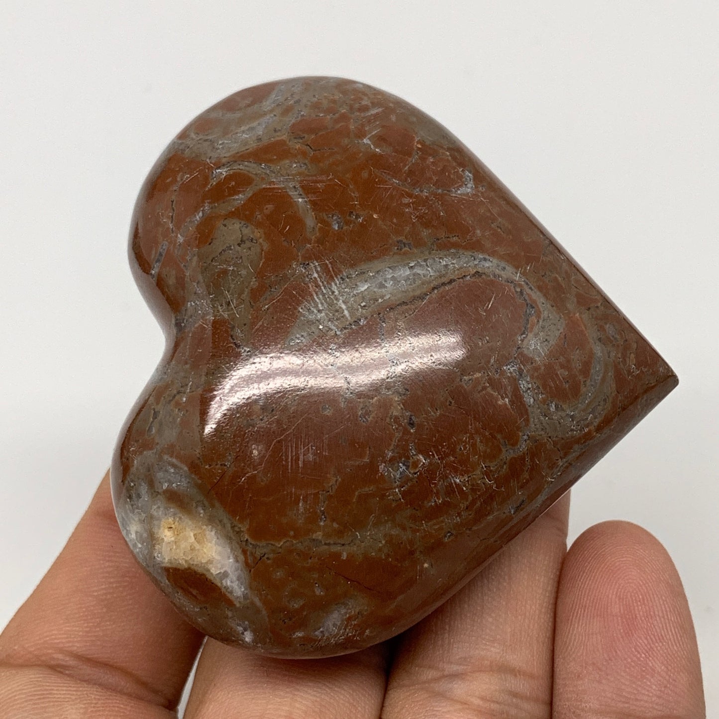 107.2g,2.2"x2.4"x1.1"Natural Untreated Red Shell Fossils Heart Reiki Energy,F927