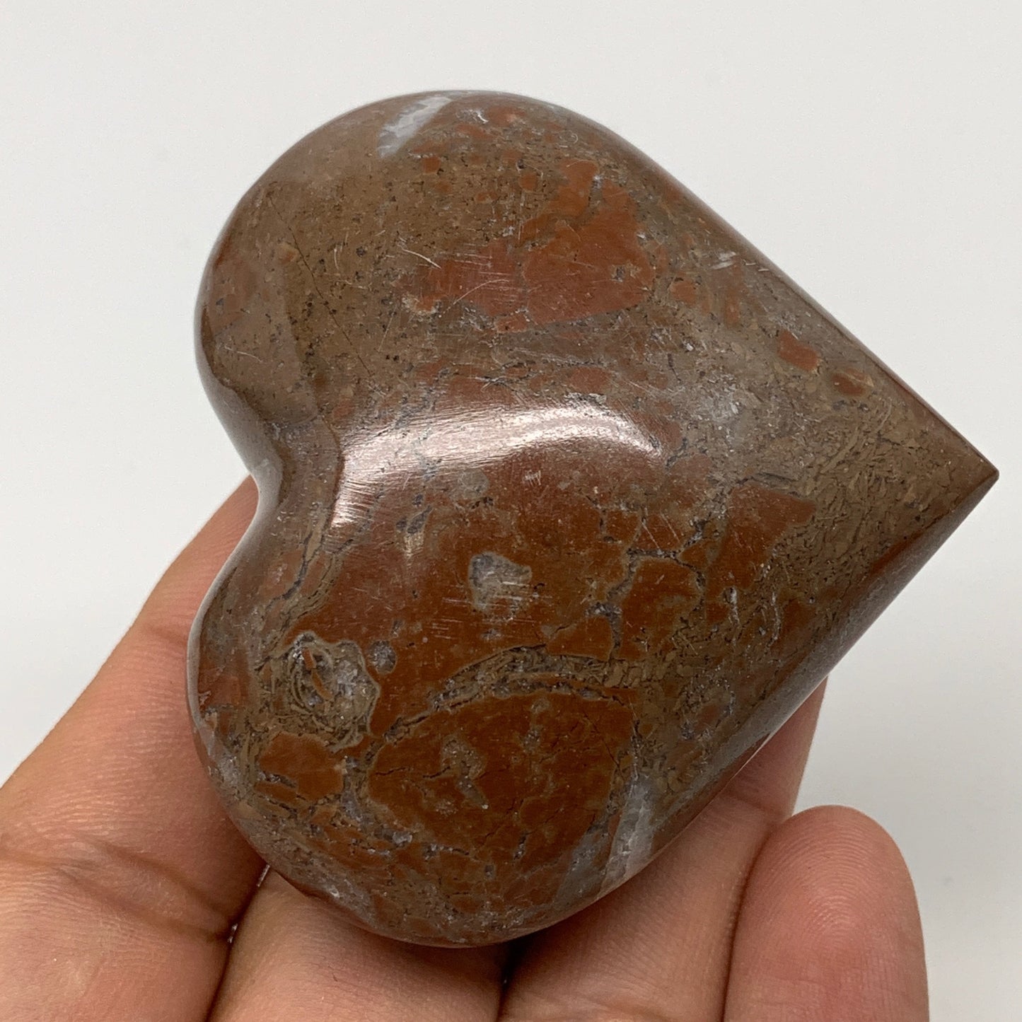 107.2g,2.2"x2.4"x1.1"Natural Untreated Red Shell Fossils Heart Reiki Energy,F927