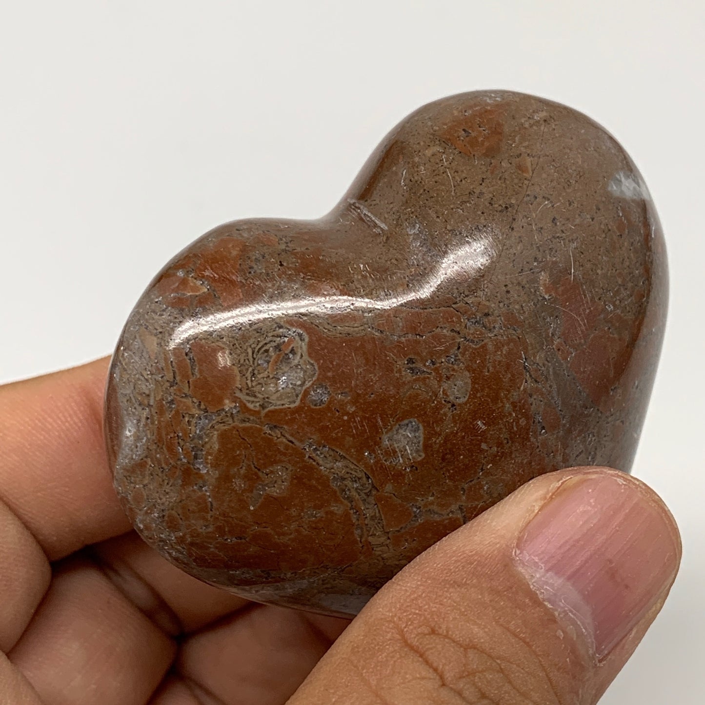 107.2g,2.2"x2.4"x1.1"Natural Untreated Red Shell Fossils Heart Reiki Energy,F927