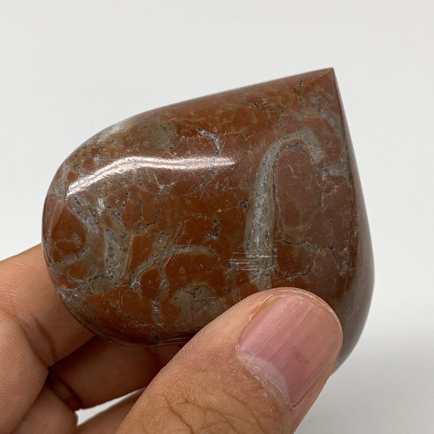 107.2g,2.2"x2.4"x1.1"Natural Untreated Red Shell Fossils Heart Reiki Energy,F927