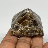 61.2g, 1.3"x1.7"x1.6" Chocolate/Gray Onyx Pyramid Gemstone @Morocco, B18986