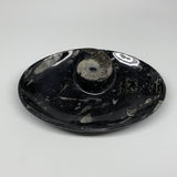 802g, 8.75"x6.5" Black Fossils Ammonite Orthoceras Bowl Oval Ring @Morocco,B8399