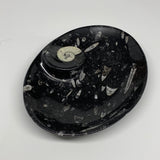 768g, 8.75"x6.5" Black Fossils Ammonite Orthoceras Bowl Oval Ring @Morocco,B8401