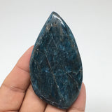 51.8g, 3"x1.6" Blue Apatite Cabochon Large Drop Shape @Madagascar,B1697
