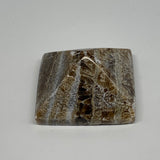 49.6g, 1"x1.7"x1.6" Chocolate/Gray Onyx Pyramid Gemstone @Morocco, B18989