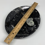 712g, 8.75"x6.5" Black Fossils Ammonite Orthoceras Bowl Oval Ring @Morocco,B8402