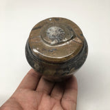 258g, 2.6"x2.7" Small Round Fossils Ammonite Brown Jewelry Box @Morocco,MF869 - watangem.com