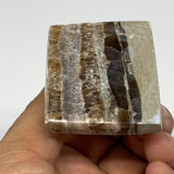 76.1g, 1.5"x1.7"x1.8" Chocolate/Gray Onyx Pyramid Gemstone @Morocco, B18990