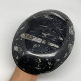 944g, 8.75"x6.5" Black Fossils Ammonite Orthoceras Bowl Oval Ring @Morocco,B8404