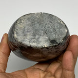 720g, 4.6"x3"x2.1" Indigo Gabro Merlinite Freeform Polished @Madagascar, B18218