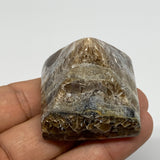 61.5g, 1.3"x1.6"x1.6" Chocolate/Gray Onyx Pyramid Gemstone @Morocco, B18992