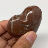 88.3g,2"x2.2"x1"Natural Untreated Red Shell Fossils Heart Reiki Energy,F935