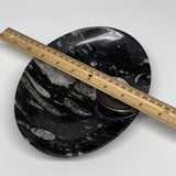 826g, 8.75"x6.5" Black Fossils Ammonite Orthoceras Bowl Oval Ring @Morocco,B8406
