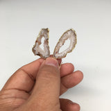 8.4 grams, 2.1" Agate Druzy Slice Geode Gold Plated Earrings from Brazil, BE122 - watangem.com