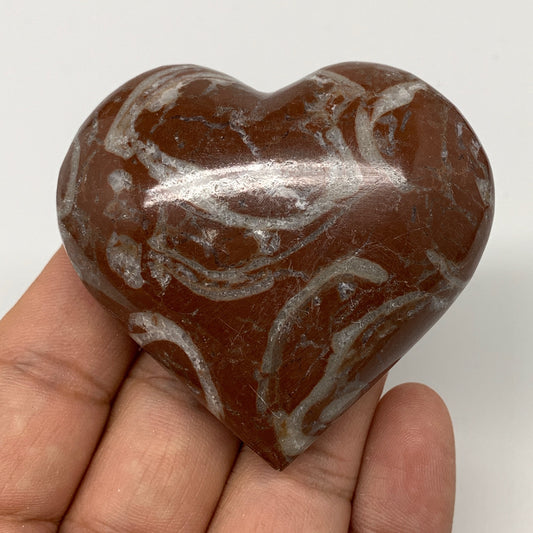 99.7g,2.1"x2.3"x1"Natural Untreated Red Shell Fossils Heart Reiki Energy,F936