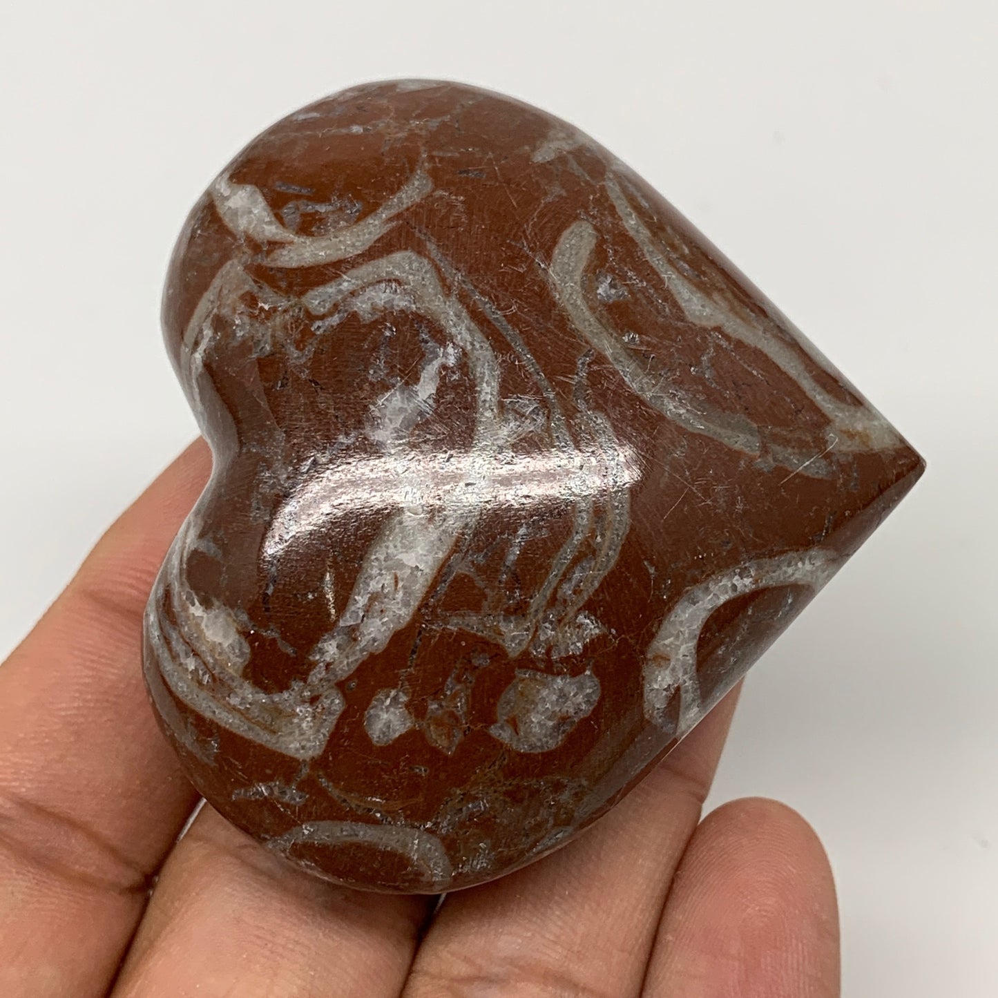 99.7g,2.1"x2.3"x1"Natural Untreated Red Shell Fossils Heart Reiki Energy,F936