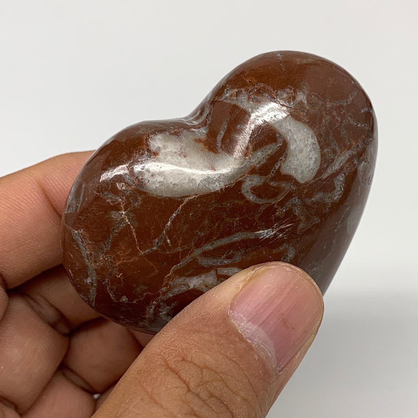 99.7g,2.1"x2.3"x1"Natural Untreated Red Shell Fossils Heart Reiki Energy,F936