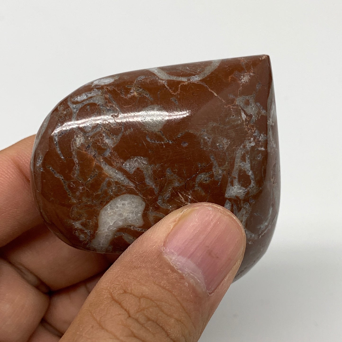 99.7g,2.1"x2.3"x1"Natural Untreated Red Shell Fossils Heart Reiki Energy,F936