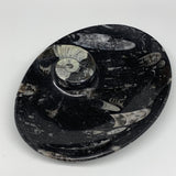 896g, 8.75"x6.5" Black Fossils Ammonite Orthoceras Bowl Oval Ring @Morocco,B8408