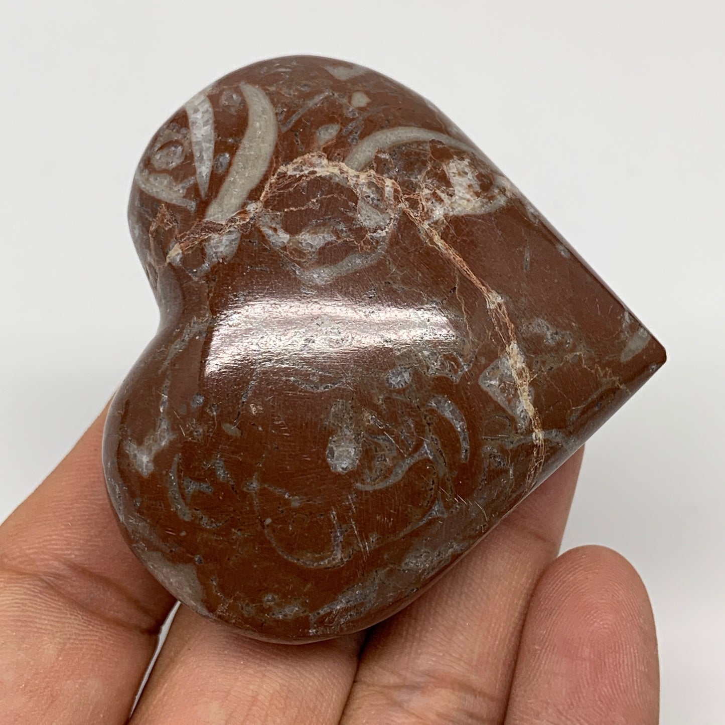 100g,2.1"x2.3"x1.1"Natural Untreated Red Shell Fossils Heart Reiki Energy,F938