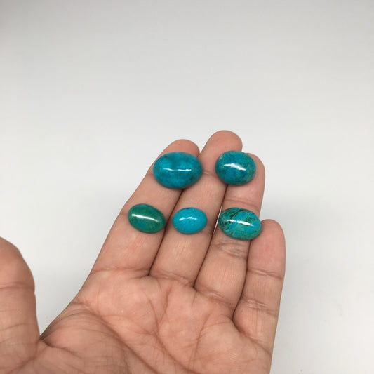55 cts, 5pcs, Natural Oval Shape Flat Bottom Chrysocolla Cabochon @Mexico,Lot17 - watangem.com