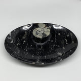 924g, 8.75"x6.5" Black Fossils Ammonite Orthoceras Bowl Oval Ring @Morocco,B8411