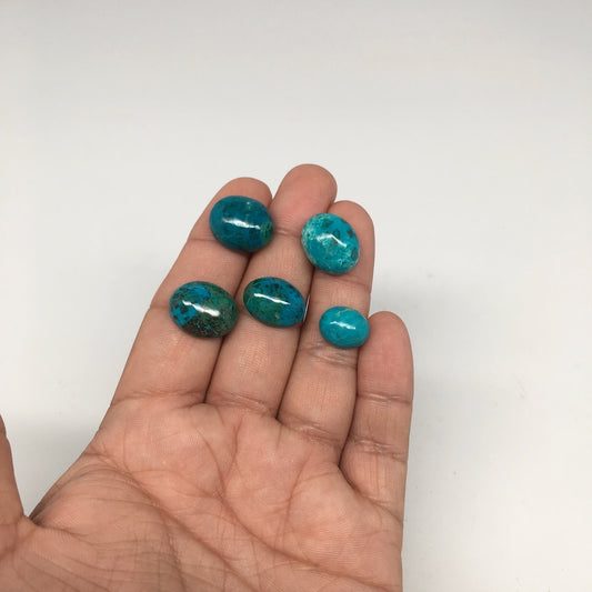 49.5 cts, 5pcs, Natural Oval Shape Flat Bottom Chrysocolla Cabochon @Mexico,Lot1 - watangem.com