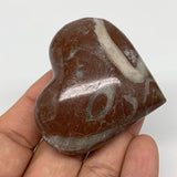 85.2g,2"x2.2"x1"Natural Untreated Red Shell Fossils Heart Reiki Energy,F941