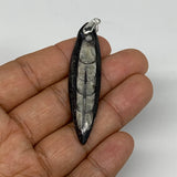6.6g, 2.3"x0.5"x0.2", Natural Fossils Orthoceras Pendant (Straight Horn),B12509