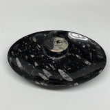 784g, 8.75"x6.5" Black Fossils Ammonite Orthoceras Bowl Oval Ring @Morocco,B8413
