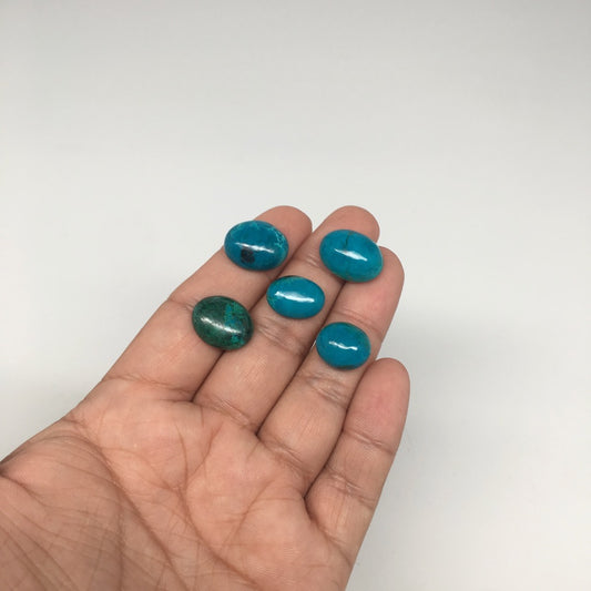 49cts, 5pcs,Natural Oval Shape Flat Bottom Chrysocolla Cabochons @Mexico,Lot21 - watangem.com