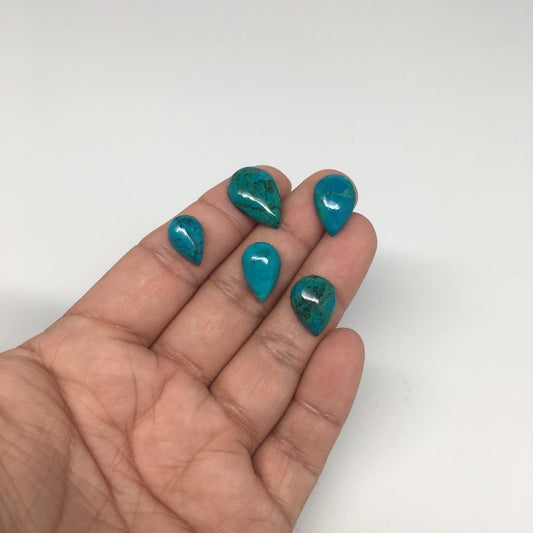 33 cts, 5pcs, Natural Teardrop Flat Bottom Chrysocolla Cabochons @Mexico,Lot22 - watangem.com