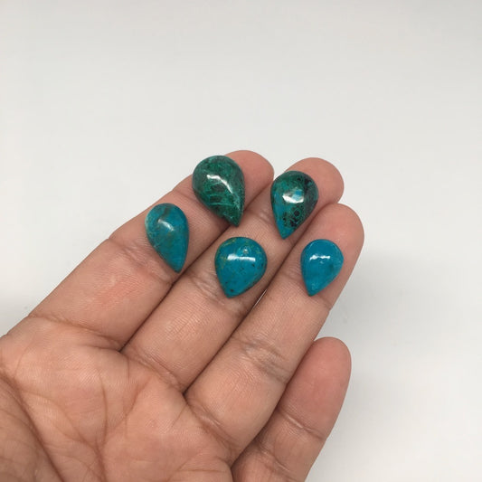 43.5 cts, 5pcs, Natural Teardrop Flat Bottom Chrysocolla Cabochons @Mexico,Lot23 - watangem.com