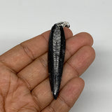 7.2g, 2.5"x0.6"x0.2", Natural Fossils Orthoceras Pendant (Straight Horn),B12514