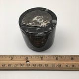 230g, 2.2"x2.4" Small Round Fossils Ammonite Brown Jewelry Box @Morocco,MF891 - watangem.com
