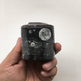 240g, 2.2"x2.4" Small Round Fossils Ammonite Brown Jewelry Box @Morocco,MF892 - watangem.com