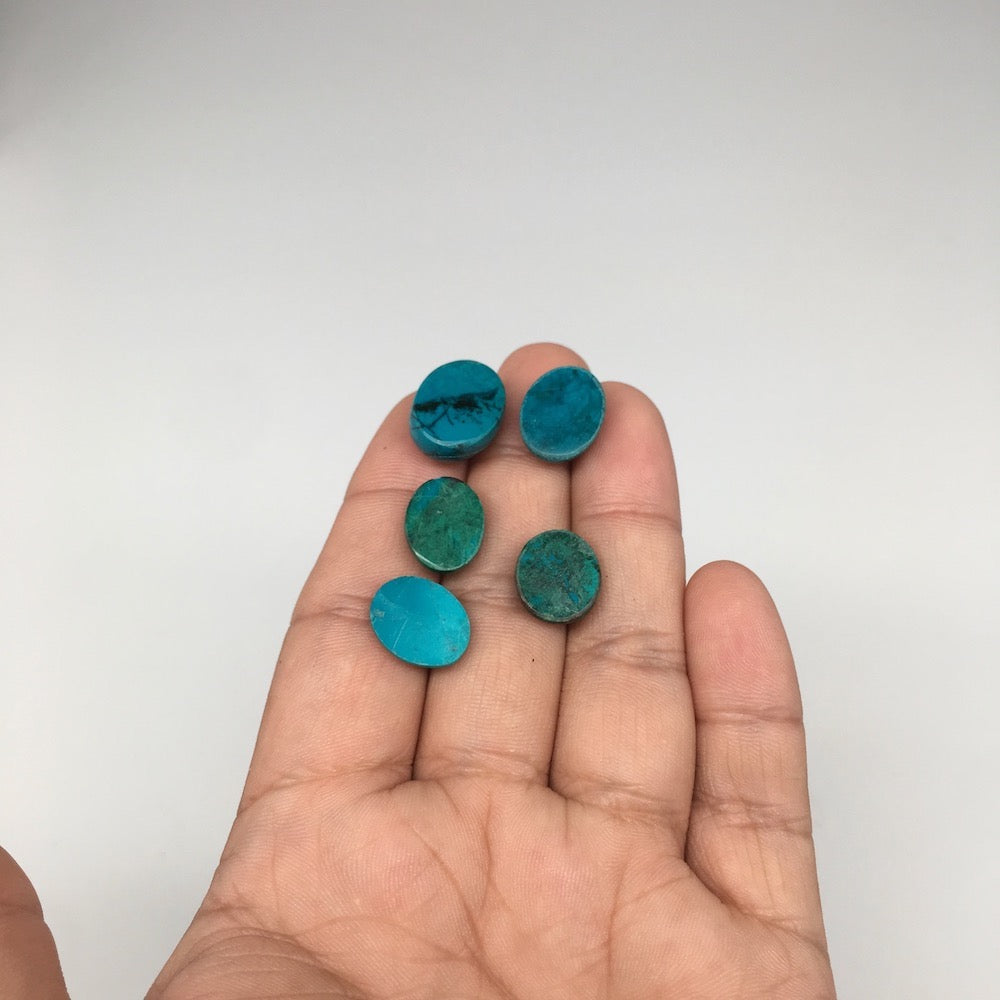 42 cts, 5pcs, Natural Oval Flat Bottom Chrysocolla Cabochons @Mexico,Lot29