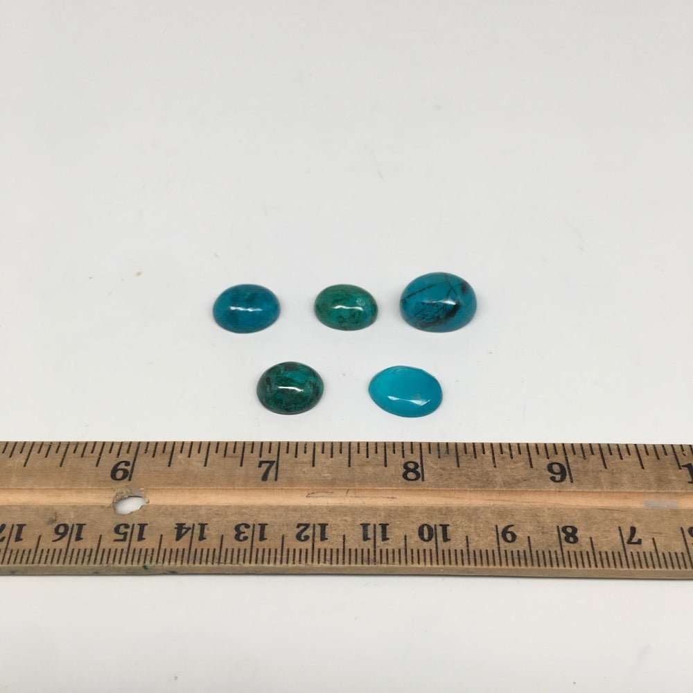 42 cts, 5pcs, Natural Oval Flat Bottom Chrysocolla Cabochons @Mexico,Lot29